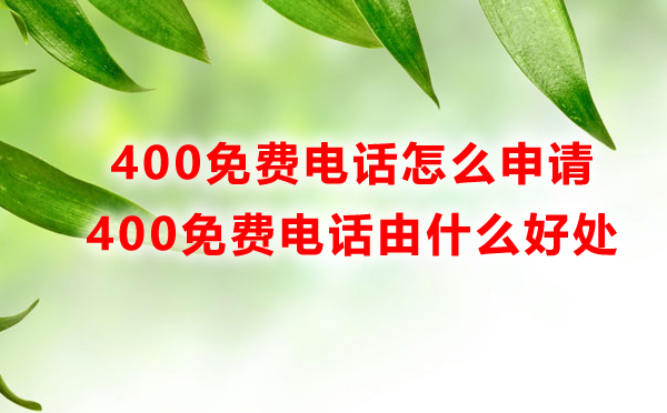 400免費(fèi)電話號(hào)碼怎么申請(qǐng)