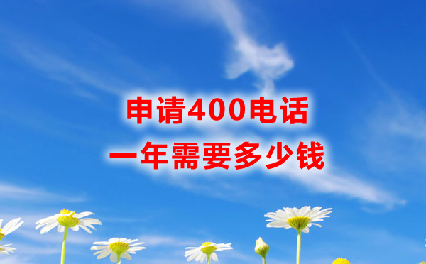 申請(qǐng)400電話一年需要多少錢