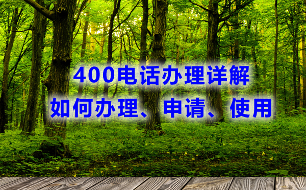 400電話辦理詳解：如何申請(qǐng)、辦理和使用